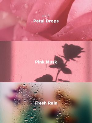 Jabón Liquido Rose Bohemia